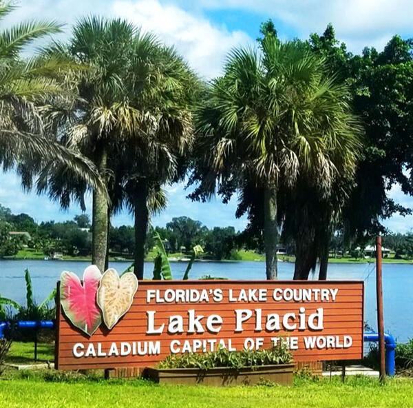 Lake Placid Caladium Capital